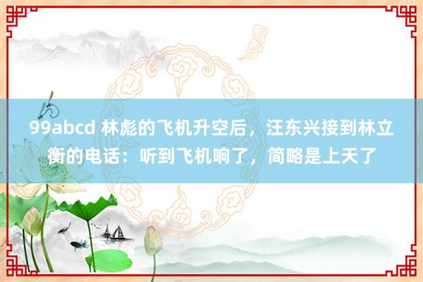 99abcd 林彪的飞机升空后，汪东兴接到林立衡的电话：听到飞机响了，简略是上天了