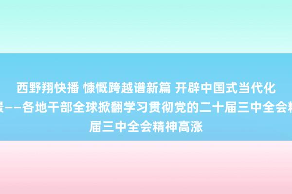 西野翔快播 慷慨跨越谱新篇 开辟中国式当代化广博远景——各地干部全球掀翻学习贯彻党的二十届三中全会精神高涨