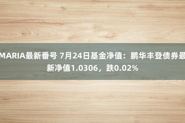 MARIA最新番号 7月24日基金净值：鹏华丰登债券最新净值1.0306，跌0.02%