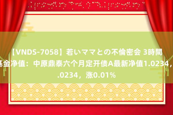 【VNDS-7058】若いママとの不倫密会 3時間 7月24日基金净值：中原鼎泰六个月定开债A最新净值1.0234，涨0.01%