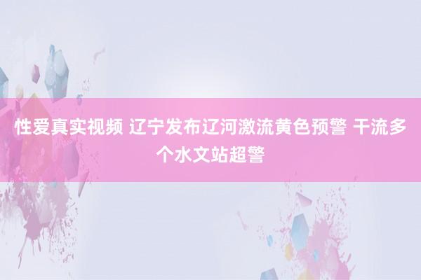 性爱真实视频 辽宁发布辽河激流黄色预警 干流多个水文站超警