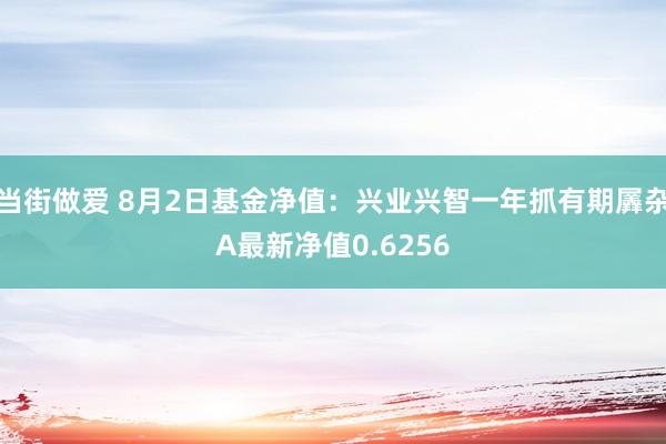 当街做爱 8月2日基金净值：兴业兴智一年抓有期羼杂A最新净值0.6256