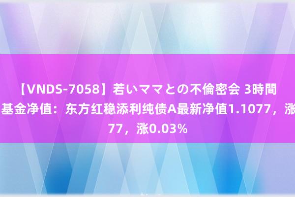 【VNDS-7058】若いママとの不倫密会 3時間 8月2日基金净值：东方红稳添利纯债A最新净值1.1077，涨0.03%