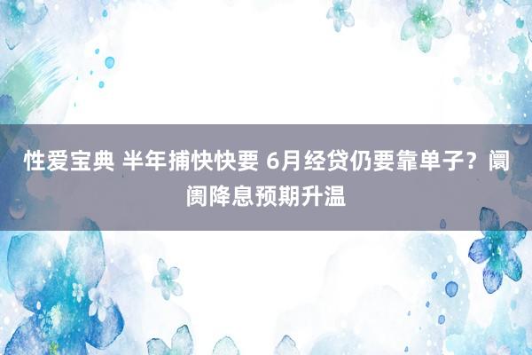 性爱宝典 半年捕快快要 6月经贷仍要靠单子？阛阓降息预期升温