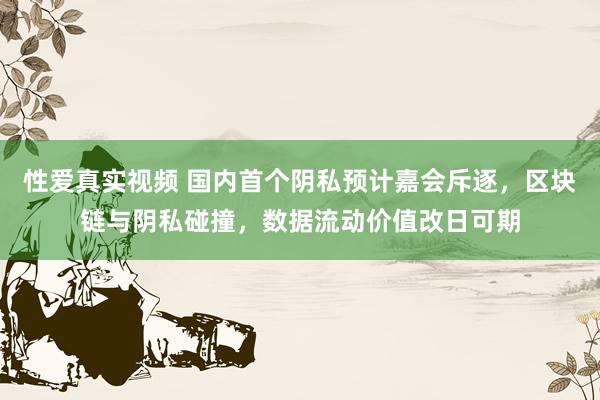 性爱真实视频 国内首个阴私预计嘉会斥逐，区块链与阴私碰撞，数据流动价值改日可期