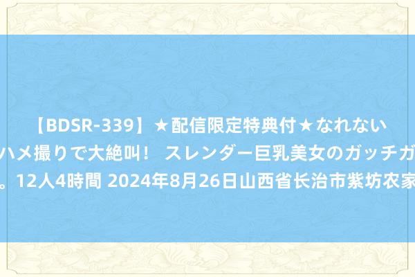 【BDSR-339】★配信限定特典付★なれない感じの新人ちゃんが初ハメ撮りで大絶叫！ スレンダー巨乳美女のガッチガチ生本番。12人4時間 2024年8月26日山西省长治市紫坊农家具详尽往来市集有限公司价钱行情