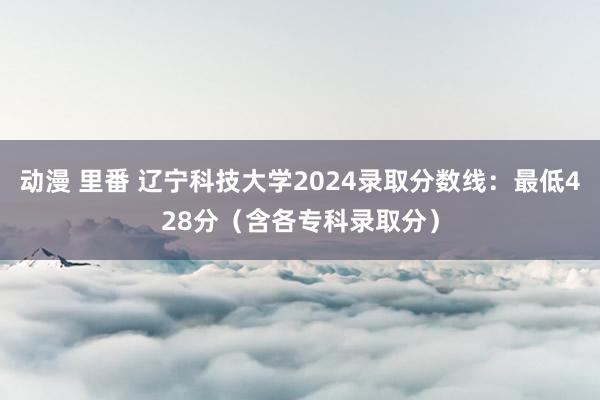 动漫 里番 辽宁科技大学2024录取分数线：最低428分（含各专科录取分）