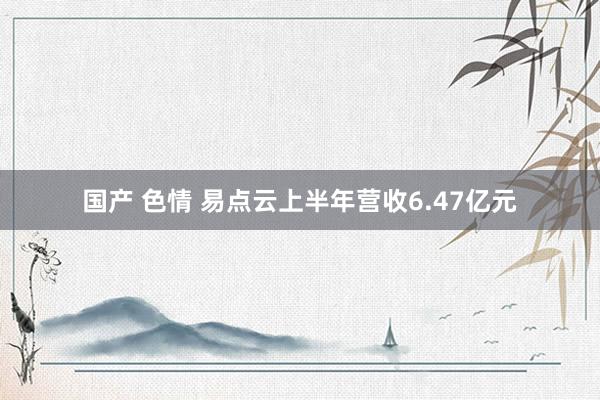 国产 色情 易点云上半年营收6.47亿元