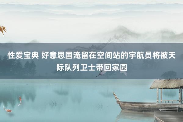 性爱宝典 好意思国淹留在空间站的宇航员将被天际队列卫士带回家园