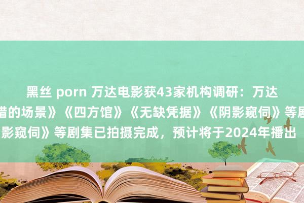 黑丝 porn 万达电影获43家机构调研：万达影视畴昔投资出品的《交错的场景》《四方馆》《无缺凭据》《阴影窥伺》等剧集已拍摄完成，预计将于2024年播出（附调研问答）